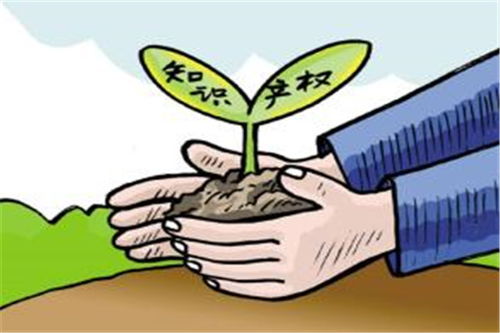 知识产权代理 福建专利申请实力的关键支撑