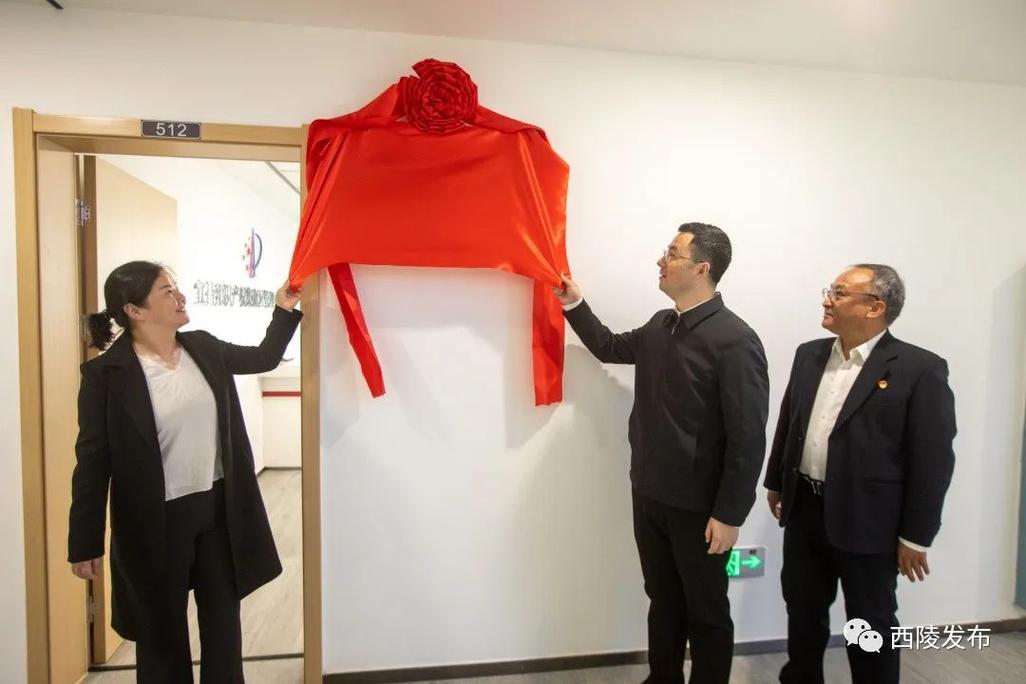 西陵区知识产权宣传周主题活动举行